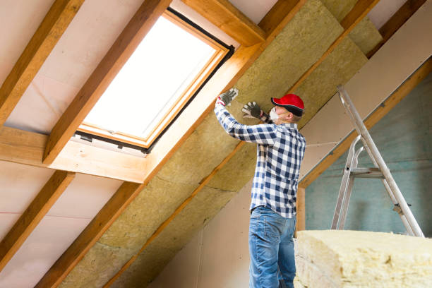 Best Basement Insulation  in Monroe, WA