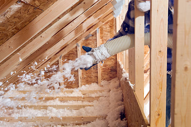 Best Insulation Air Sealing  in Monroe, WA